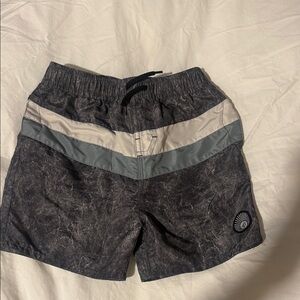 Volcom Gray and Silver Elastic Shorts